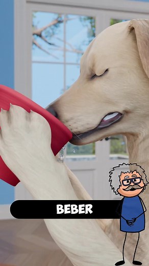 Curiosidades sobre cómo los perros beben agua
