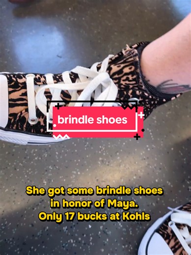 I just noticed my wife's new brindle shoes #brindlebeagleforever #