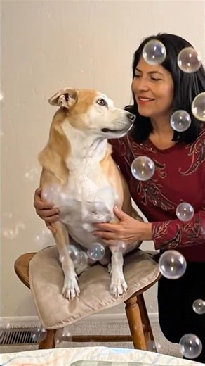 Bubbly #colbiecaillat