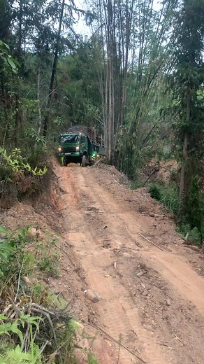 iPhone 14 Pro Truck Logging Adventure