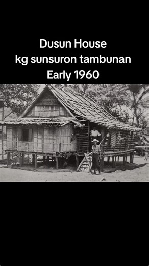 Evolution of Tropical Houses from 1960 to 2010