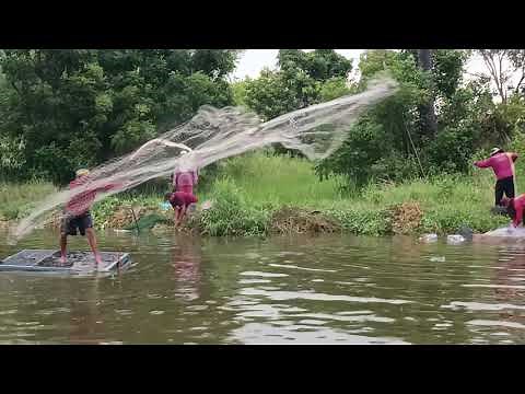 Thai fishing How to fishing in Thailand Rasisalai Sisaket Thailand