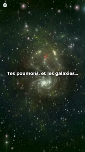 🌳L’Arbre du Savoir on Instagram: "Un même motif qui se répète dans tes poumons, dans les arbres, dans les rivières… et jusque dans la structure des galaxies. Ce n’est ni une métaphore, ni une coïncidence. C’est une propriété fondamentale de la nature, étudiée en mathématiques et en physique : les fractales. Des systèmes totalement différents, à des échelles incomparables, mais organisés selon les mêmes règles. Comme si la nature réutilisait les mêmes solutions, encore et encore, parce qu’elles 