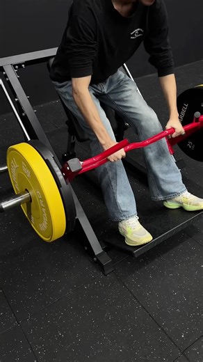 Maximize Your Gains with Compact Back Training Equipment