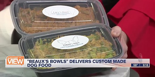 "Beaux's Bowls" delivers custom-made dog food | Suncoast View (Feb. 19, 2024)