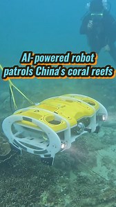 31K views · 262 reactions | Meet the AI-powered robot making waves in marine conservation! Off the coast of Fenjiezhou Island, scientists are deploying cutting-edge technology to scan, patrol, and monitor coral reefs in waters too deep or dangerous for human divers. | China Xinhua Sci-Tech | Facebook