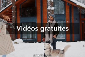 Chien baiser femme vidéos de stock libres de droits