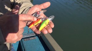 2.2K views · 91 reactions | Cold water means it's Flat A season!  Here's fishing legend Bobby Murray giving you the down-low on how and where to fish it!  | Bomber Lures | Facebook