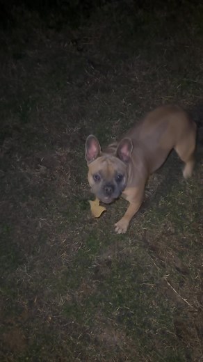 41 reactions · 7 comments | 藍 | Michael Burgess | Facebook