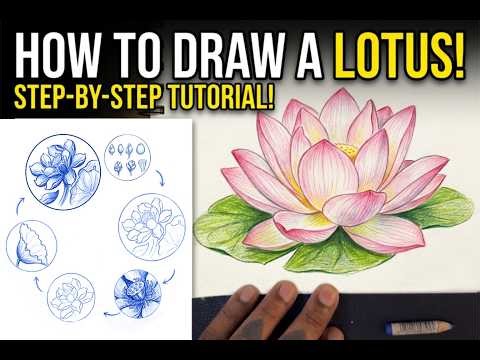 How to Draw a Lotus from Any Angle (Step-by-Step Construction Method)