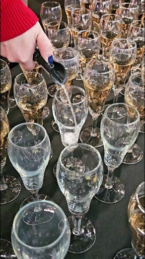 From tiny bubbles to big science—here’s what’s really happening in champagne 🥂🔬🫧 Join us February 12th for our annual Chocolate Discovery event where you can sample champagne and chocolate 🩷🍫 | Museum of Science & Technology - MOST