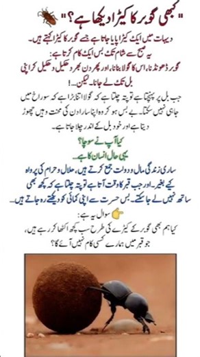 4 most powerful Quotes for Islam #islam #quran #trending #motivational #shorts