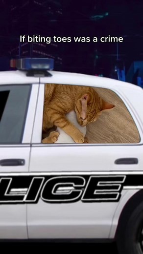 Dramatic Toe Biter: When Biting Toes Becomes a Scene