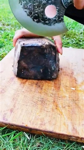 HIDDEN ROOT revealed with one perfect cut 😱🌱🔪#shorts #gardening #farming #plants #garden
