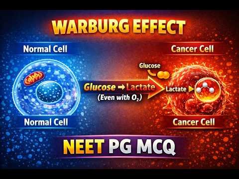 Warburg Effect Explained | NEET PG Biochemistry MCQ Solved | Aerobic Glycolysis in Cancer Cells