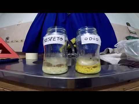 Experimento del Arroz (Masaru Emoto) - Pensamiento Crea - Energía del Ether