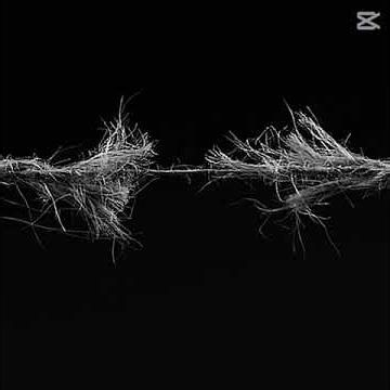 ⏱️ #pkxduniversd #creator #000 #pkxd #admin