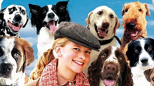 Watch 12 Dogs of Christmas | Prime Video