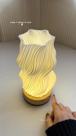 Stylish Vase and Table Lamp Combo