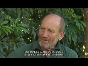 72 Animales Peligrosos:Australia EP4 T1