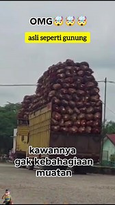 4.3K reactions · 34 shares | Pasukan tunjuk langit #fyp #fbpro #reels #vidio #driver | Veriadi Purwanto Riau | Facebook