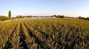 GoPro apresenta: Tomorrowland, o paraíso. Garanta o seu pacote http://insd.me/TMLBE | Inside Music Land