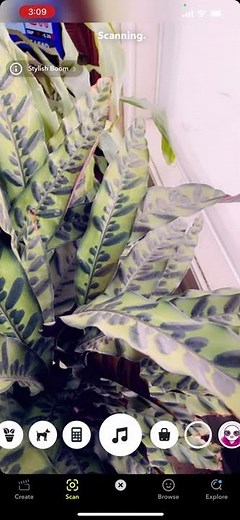 Snapchat PlantSnap Scan demo video