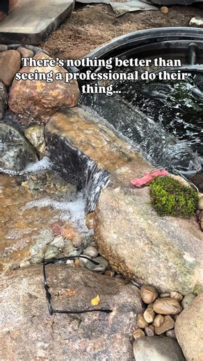 Mastering Ecosystem Ponds with Shawn the Builder