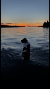 30K views · 274 reactions |  Welcome to Emma/Christopher Lake! ...