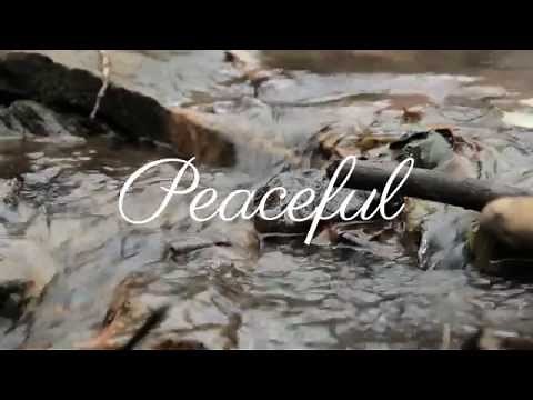 Class Notes: A Journey Through Musical Emotion