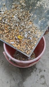 90K views · 353 reactions | Cleaning the pigeon cage tray #Pigeon #kalapati #حمامة #pigeonlover #cleaning #pet | Abid Agro | Facebook