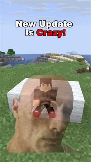 New Minecraft Cushions Are Actually Broken #minecraft #update