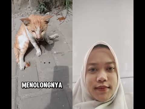 Fenomena aneh di rumah #shorts #horror #videoviral #lucu