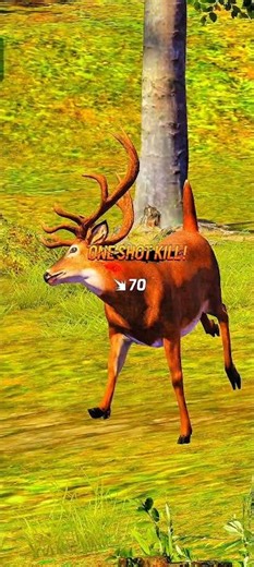 Hunting Sniper – Perfect Headshot 🎯💥