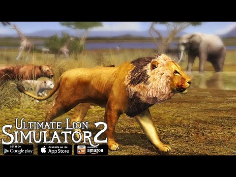 Ultimate Lion Simulator 2 - Life Of Lion - Android/iOS - Gameplay Part 1
