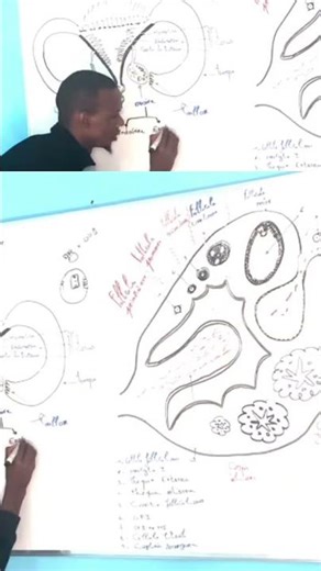 partie1 la reproduction