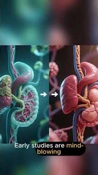 The Future of Anti Aging Reprogramming Human Cells1