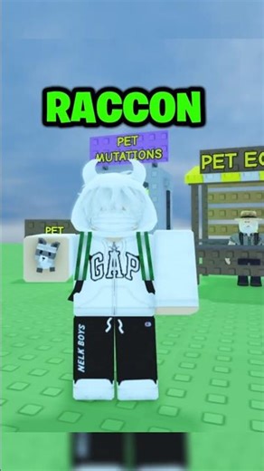 ✨🦝 How to Get Raccoon in Grow A Garden 🦝✨ #growagarden #robloxamerika