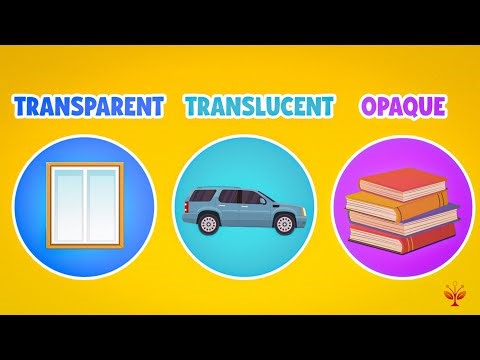 Transparent, Translucent & Opaque Objects | Fun Science Experiment | Gamified eLearning