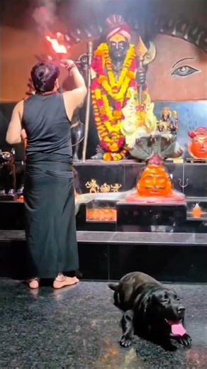 Jai Kaal bhairav #jaikaalbhairav #kaalbhairav #kaalbhairavashtami #ashtakam #shiv #shiva #om