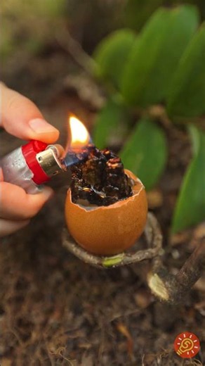 Hacks inteligentes ao ar livre com Kira | Ideias DIY na natureza 💦🌿 #short