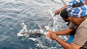 2.1M views · 10K reactions | We Caught King Fish & Wahoo Fish in the Deep Sea | Neerulagam | Facebook