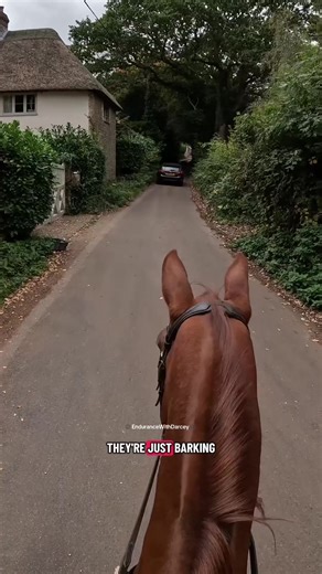 Max's Expert Handling of Loud Guard Dogs