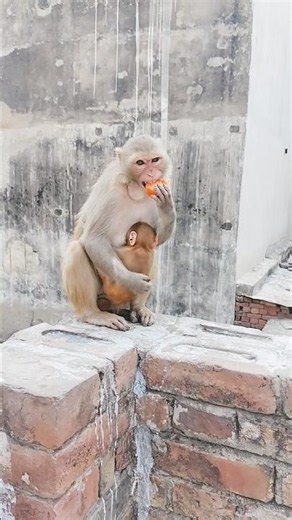 Shree ram jai shree ram श्री राम