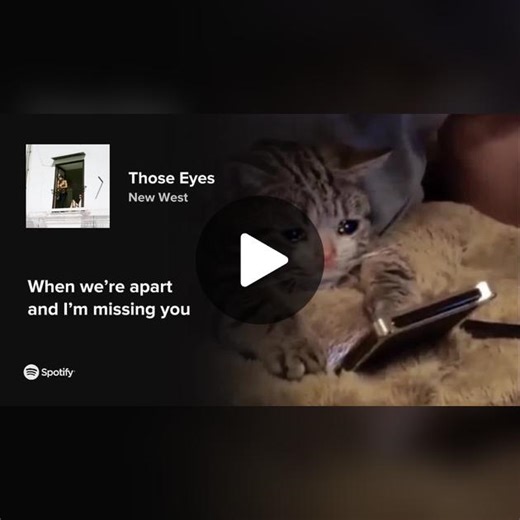 ..... #sadcat #thoseeyes