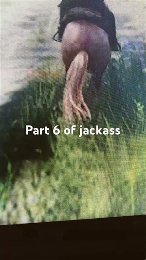 Part 6 of jackass