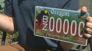 Oregon’s newest license plate was designed by a 16-year-old self-taught bee expert
