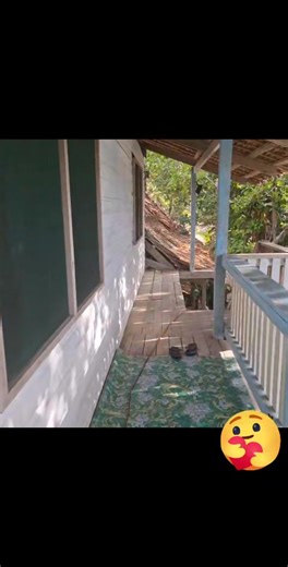 1.7K views · 25 reactions | Nostalgic feeling you'll get blending in with nature� Marausound Solomon Islands � | Levi Scott | Facebook