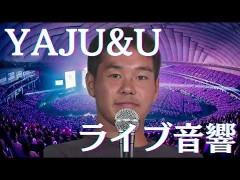 【ライブ音響】YAJU&U 【ﾔｼﾞｭｾﾝﾊﾟｲｲｷｽｷﾞﾝｲｸｲｸｱｯｱｯｱｯｱｰﾔﾘﾏｽﾈ/Cartoon】 立体音響 重低音強化