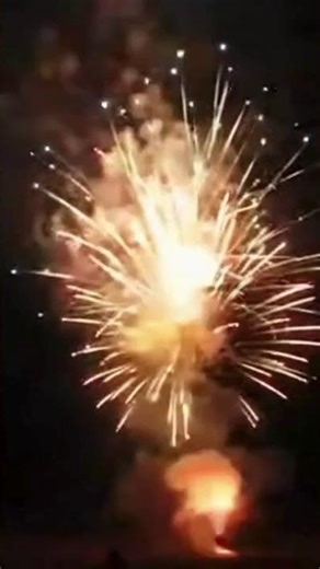 Is this a WAR ZONE or just chilling?! 😂 #fireworks #shorts